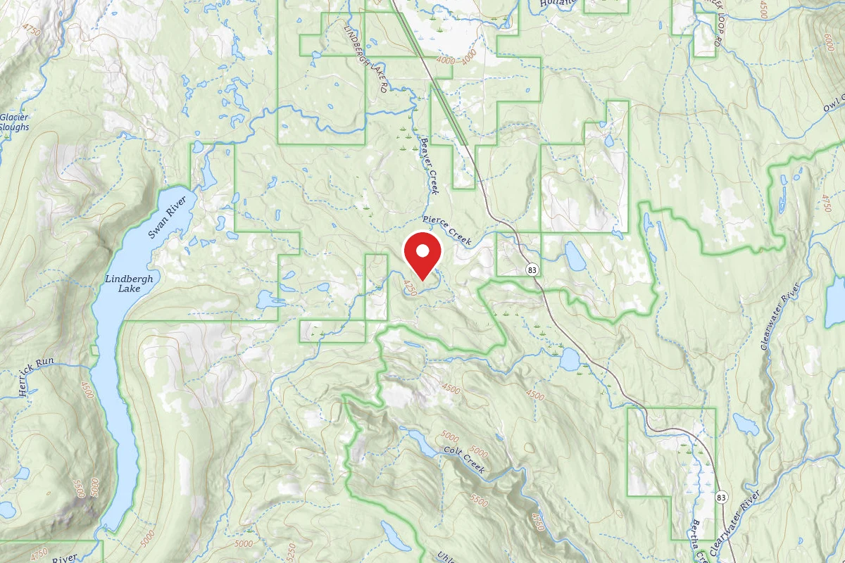 Flathead Dispersed Campsite RD 9563-4 BEAVER CREEK AREA