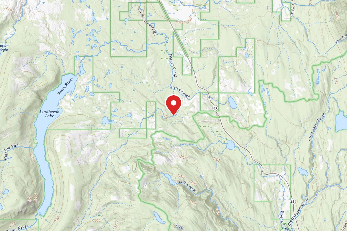 Flathead Dispersed Campsite RD 9563-5 BEAVER CREEK AREA