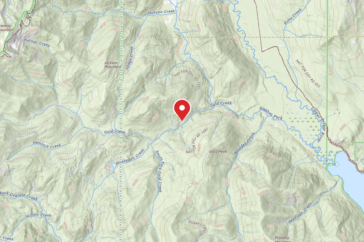 Idaho Panhandle Dispersed Campsite 1391-001