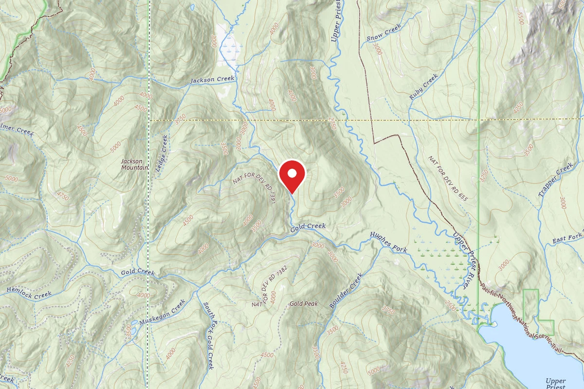 Idaho Panhandle Dispersed Campsite 662-002