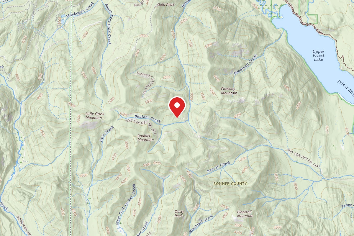 Idaho Panhandle Dispersed Campsite 1015-002