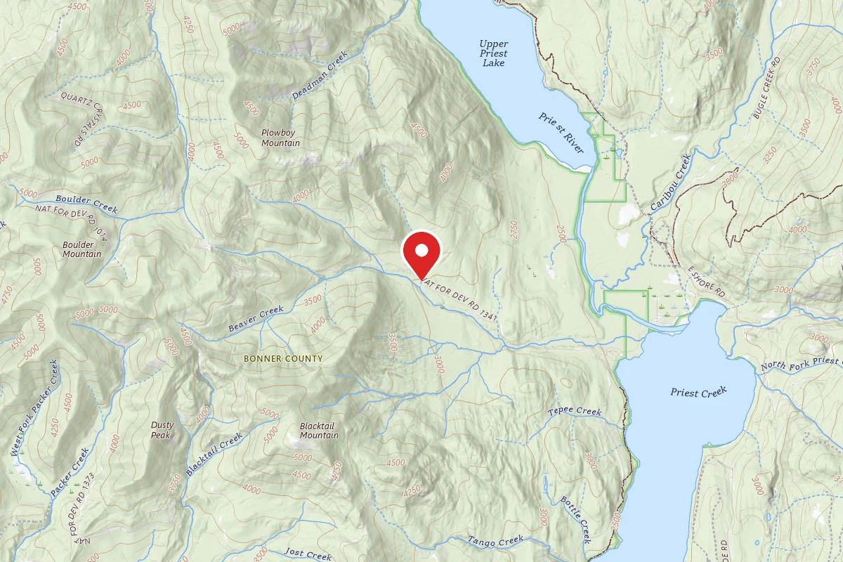Idaho Panhandle Dispersed Campsite 1341-002
