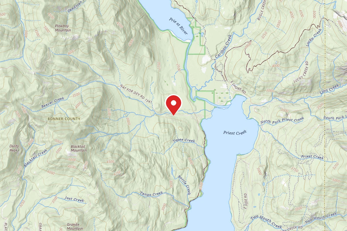 Idaho Panhandle Dispersed Campsite 1341-003