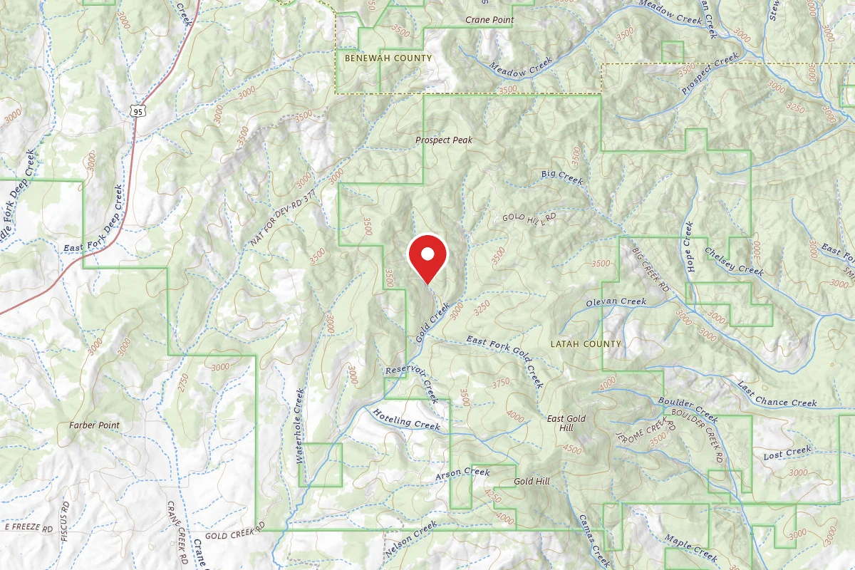 Nez Perce-Clearwater Dispersed Campsite PAL770RD 03A