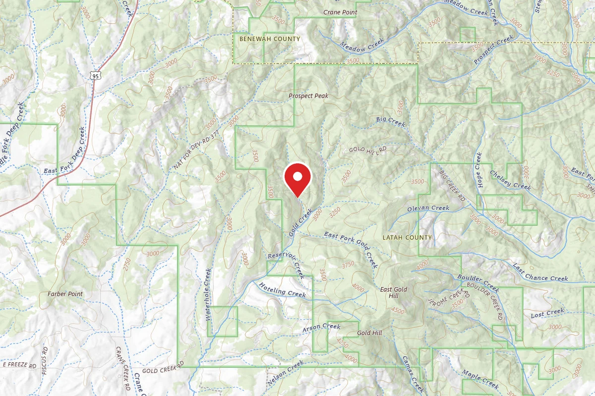 Nez Perce-Clearwater Dispersed Campsite PAL770RD 03B