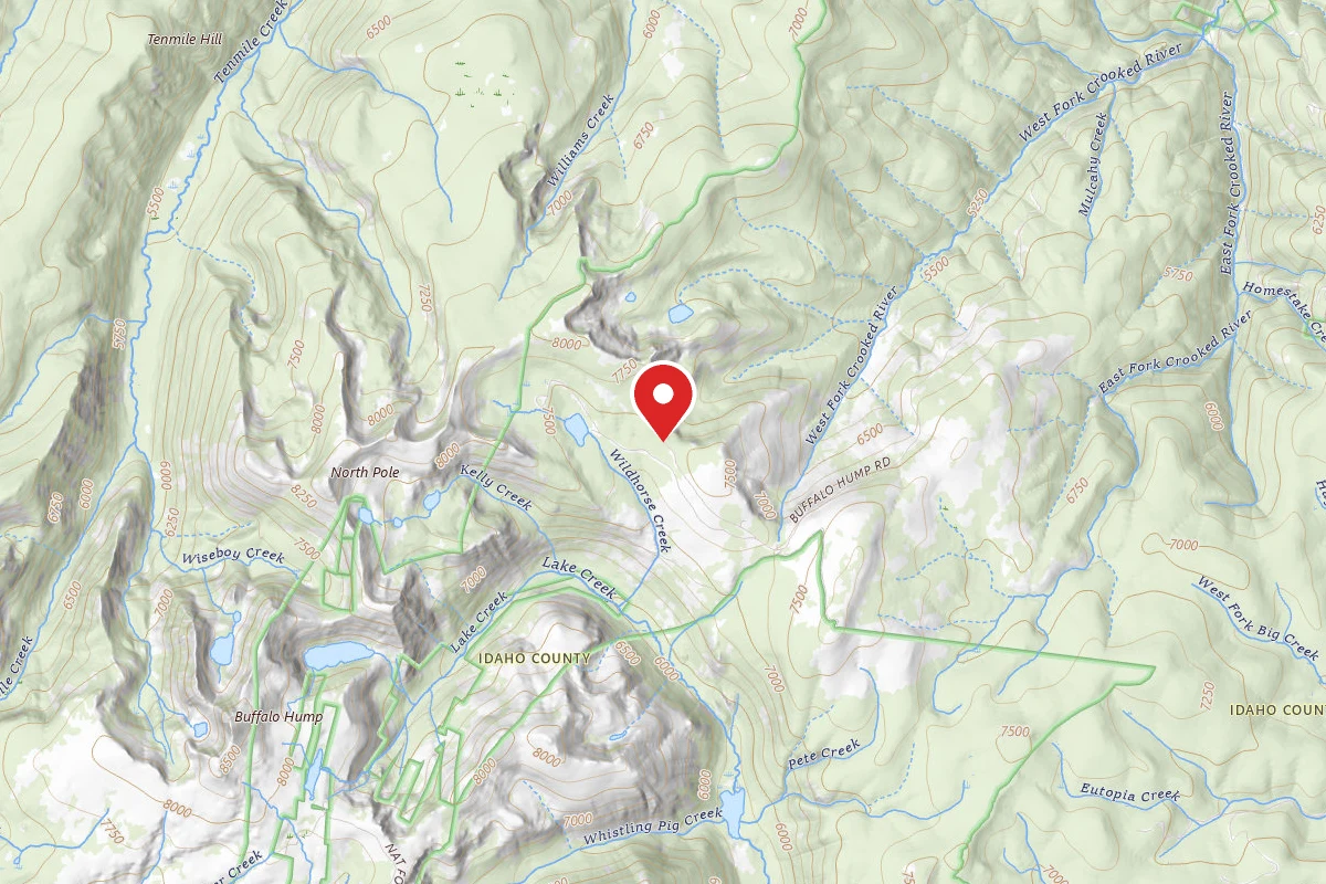 Nez Perce-Clearwater Dispersed Campsite TRAIL205-003