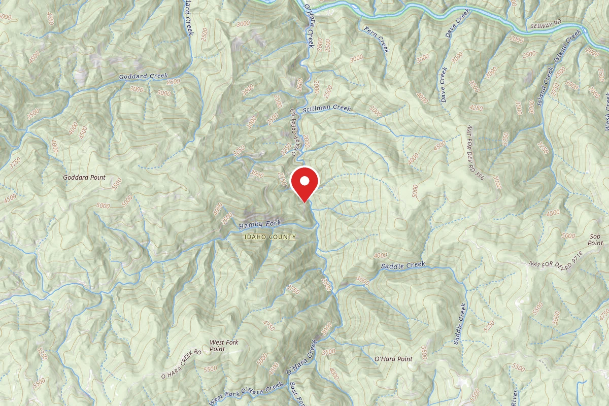 Nez Perce-Clearwater Dispersed Campsite ROAD651-053