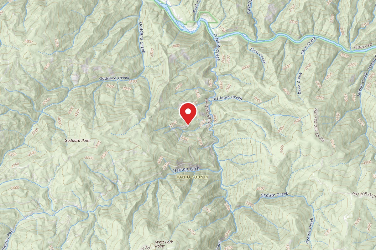 Nez Perce-Clearwater Dispersed Campsite ROAD651-055