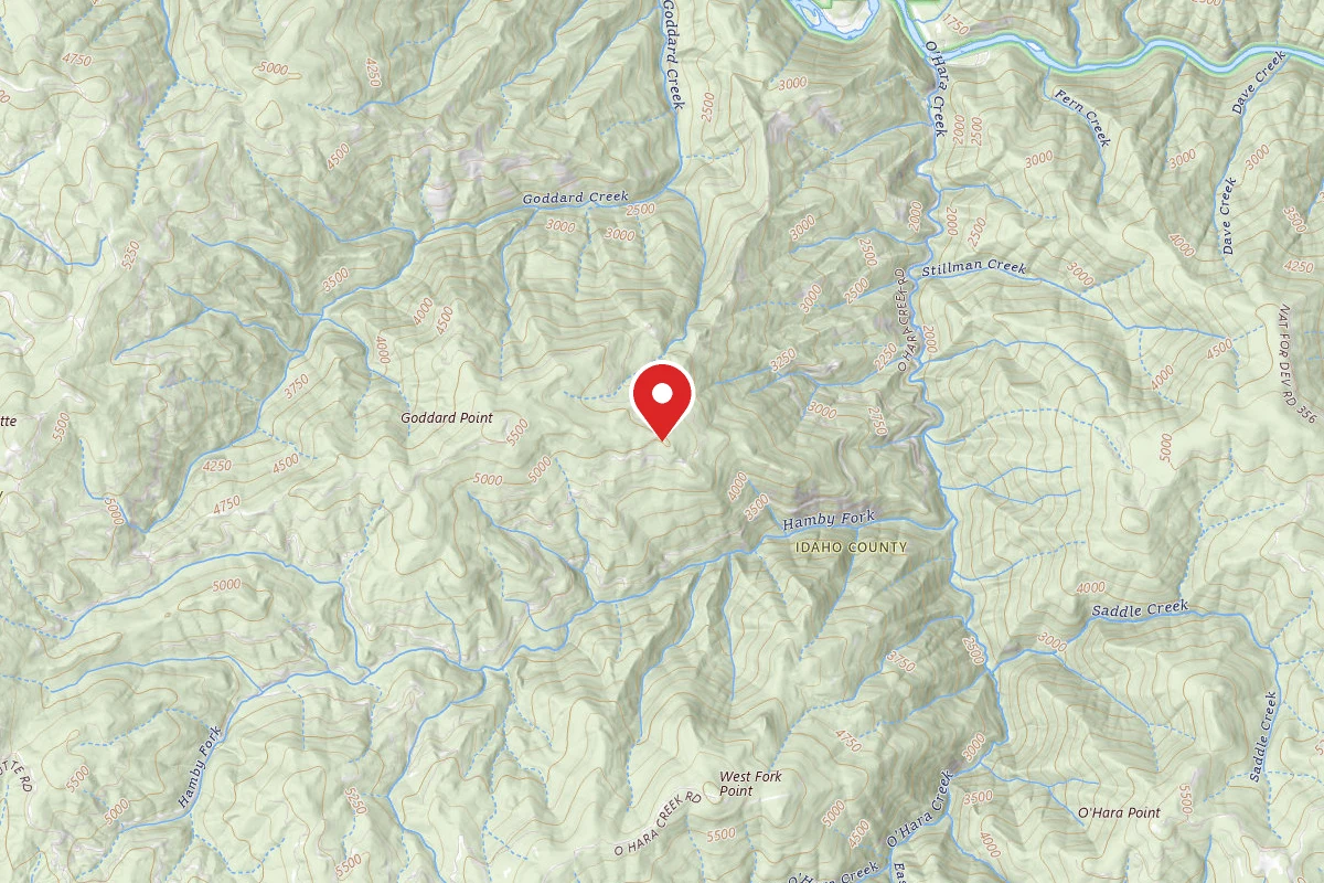 Nez Perce-Clearwater Dispersed Campsite ROAD1121-059