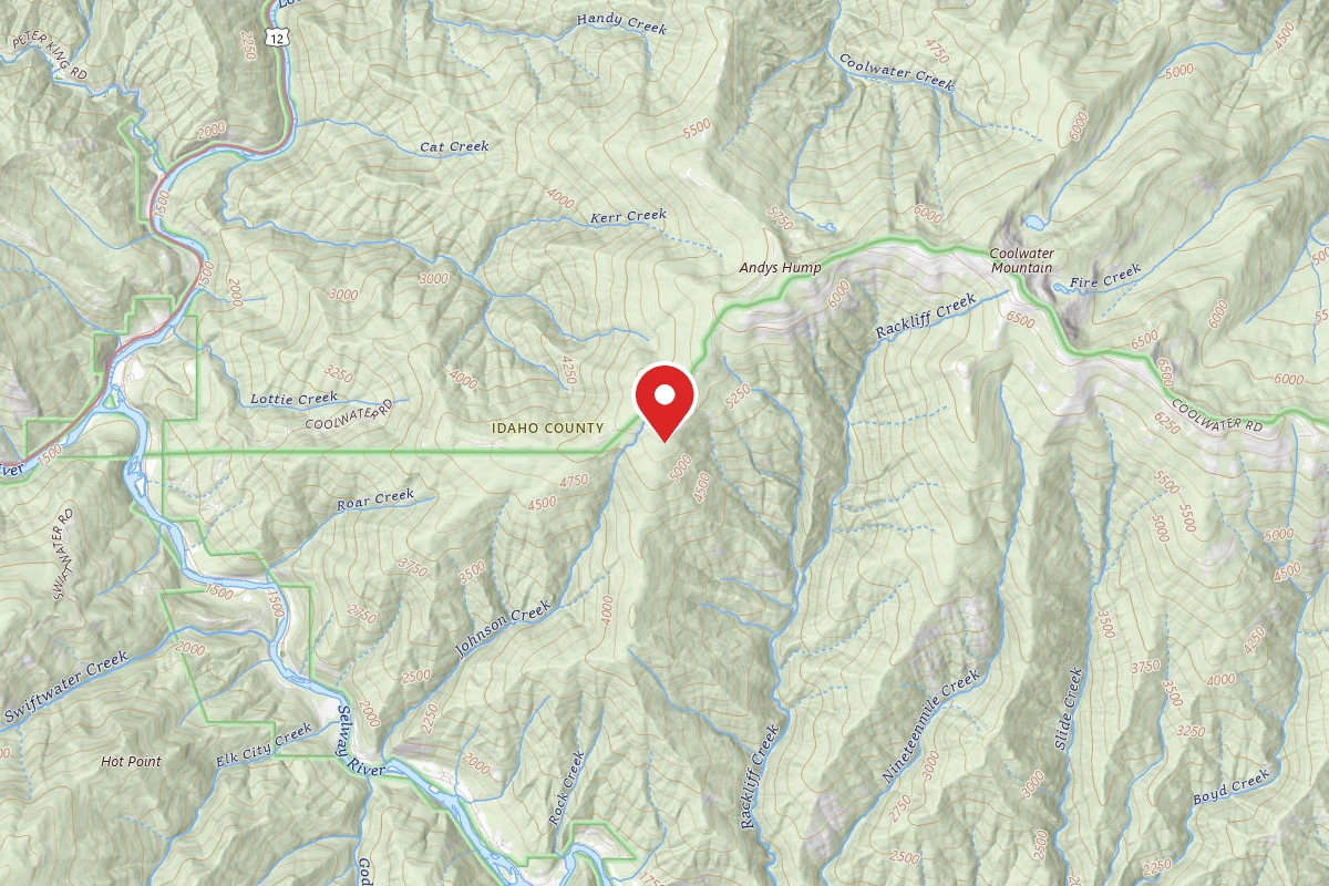 Nez Perce-Clearwater Dispersed Campsite ROAD317-011