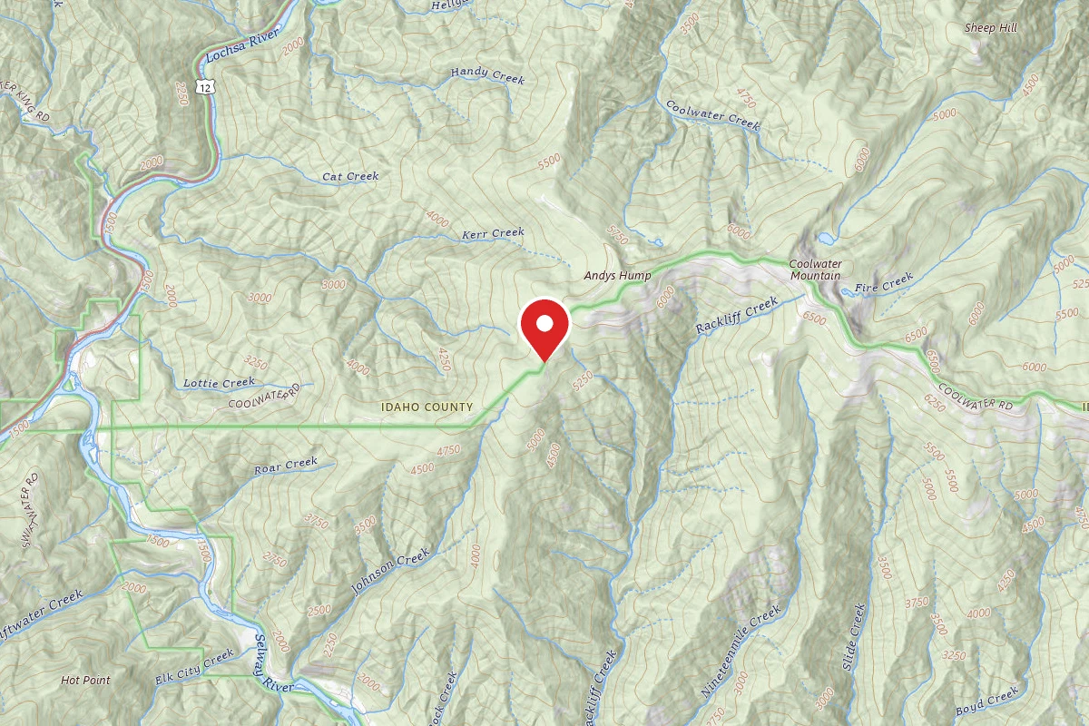 Nez Perce-Clearwater Dispersed Campsite ROAD317-013