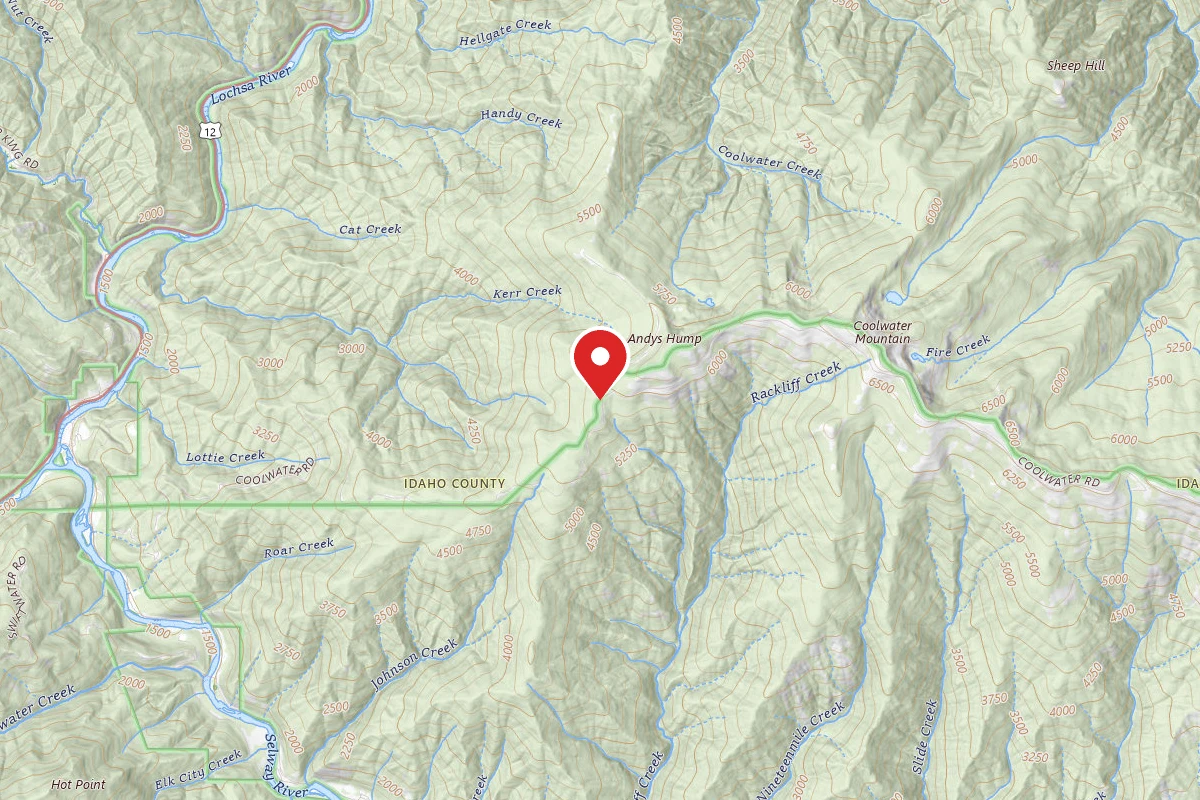 Nez Perce-Clearwater Dispersed Campsite ROAD317-019A