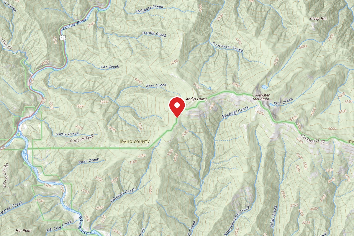 Nez Perce-Clearwater Dispersed Campsite ROAD317-019B