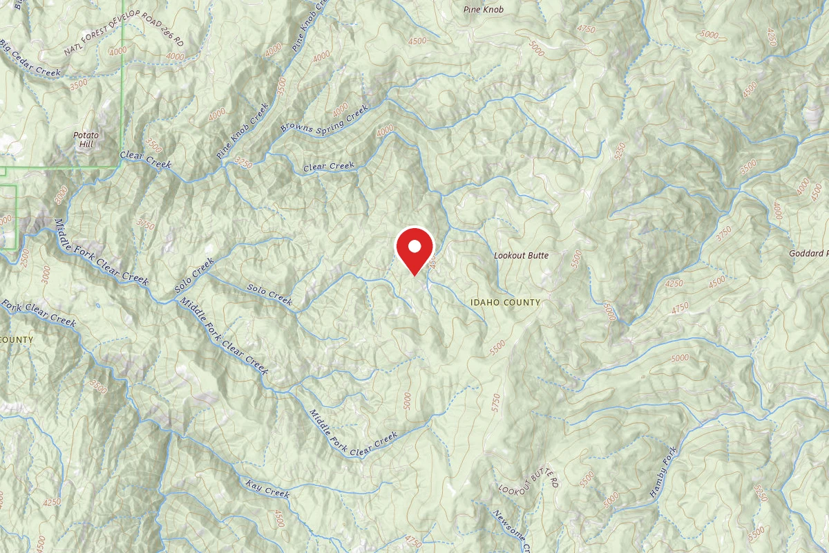 Nez Perce-Clearwater Dispersed Campsite ROAD286-003