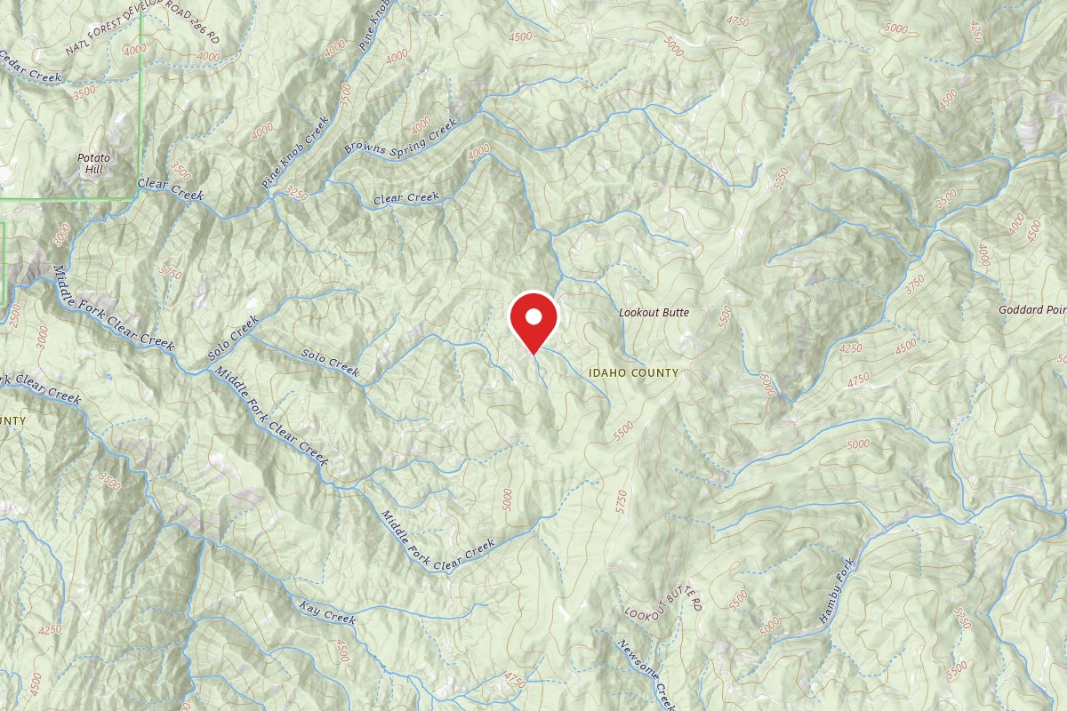 Nez Perce-Clearwater Dispersed Campsite ROAD286-005