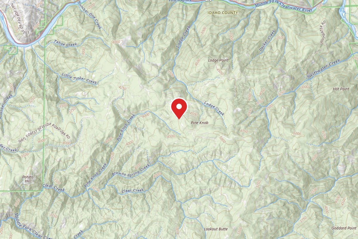 Nez Perce-Clearwater Dispersed Campsite ROAD286-011X