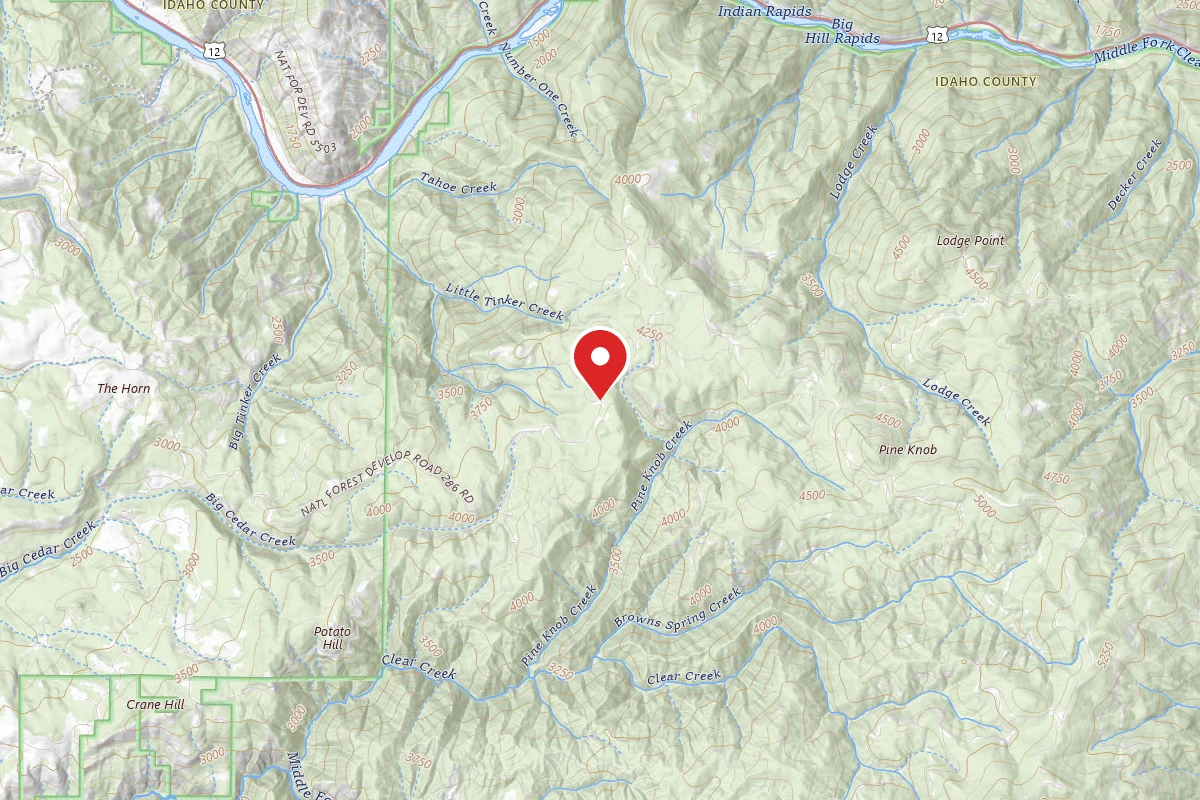 Nez Perce-Clearwater Dispersed Campsite ROAD286-029