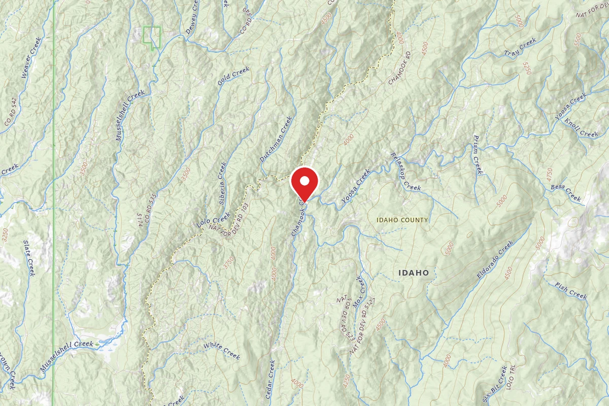 Nez Perce-Clearwater Dispersed Campsite LOC520-003