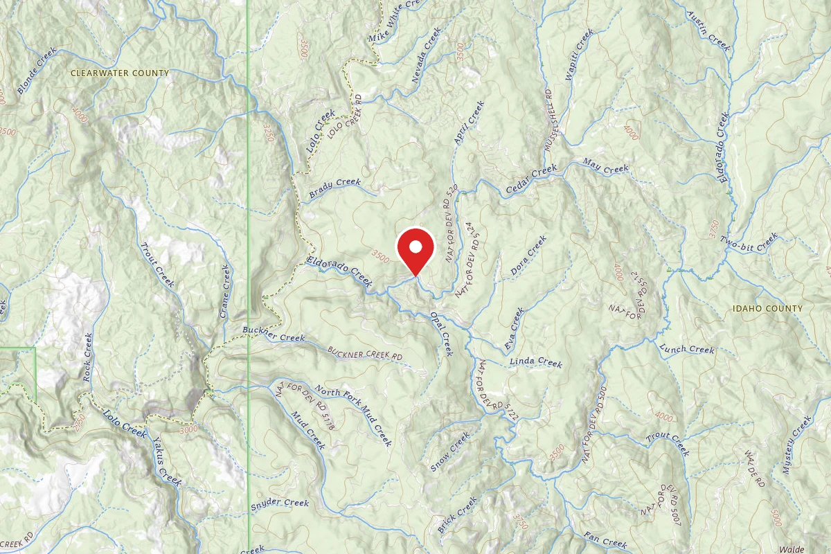 Nez Perce-Clearwater Dispersed Campsite LOC520-001