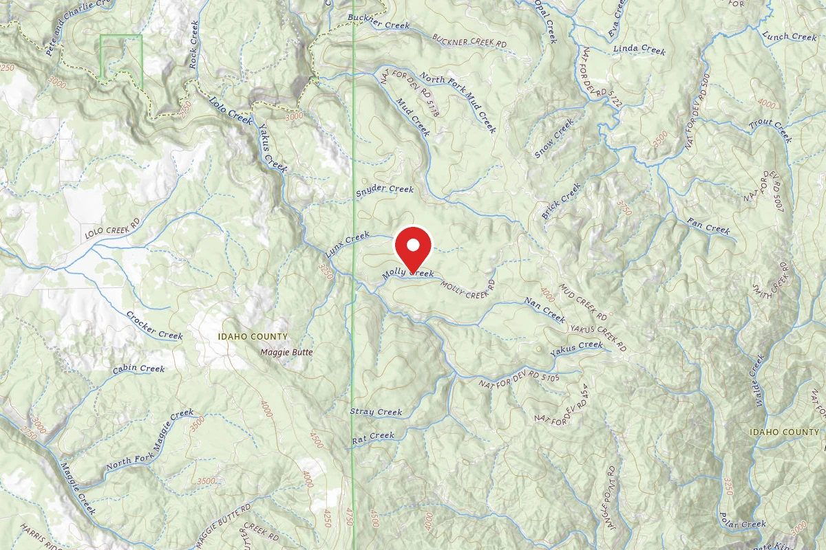 Nez Perce-Clearwater Dispersed Campsite LOC519-002