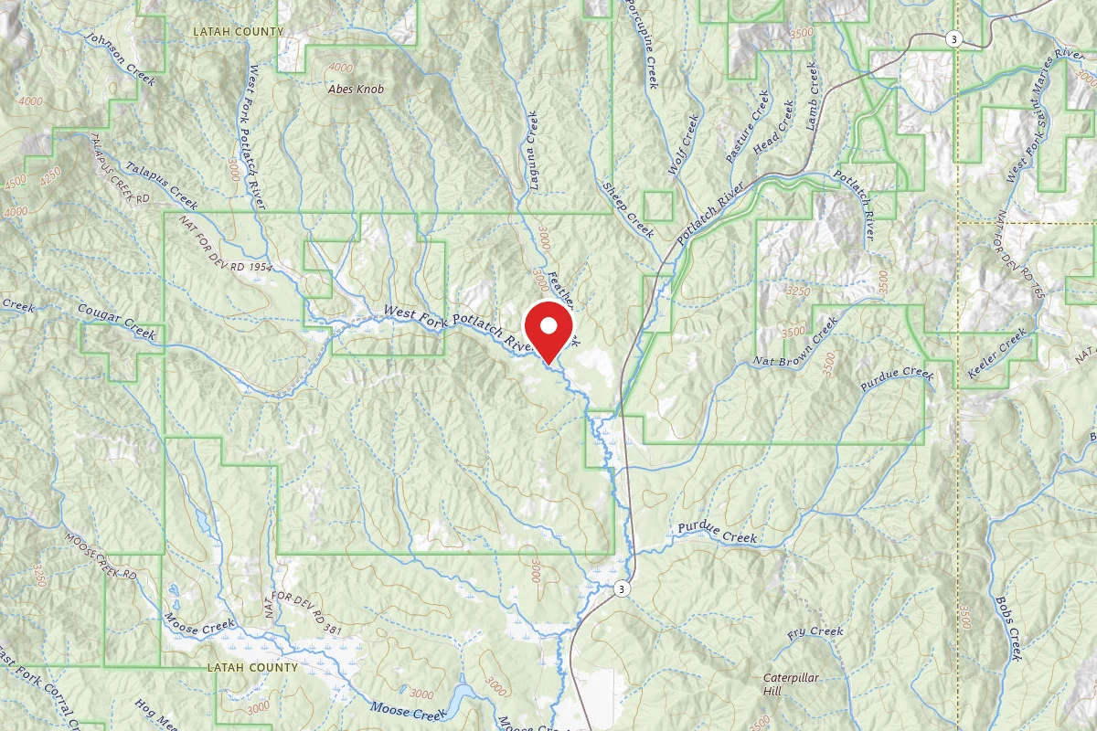 Nez Perce-Clearwater Dispersed Campsite PAL377RD 01