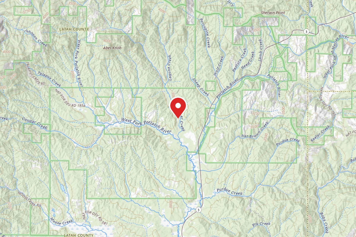 Nez Perce-Clearwater Dispersed Campsite PAL789RD 01A