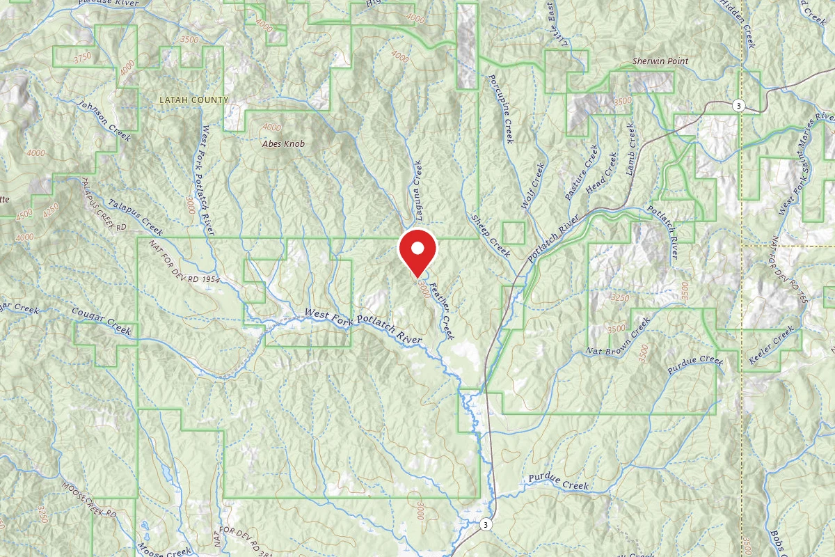 Nez Perce-Clearwater Dispersed Campsite PAL789RD 02