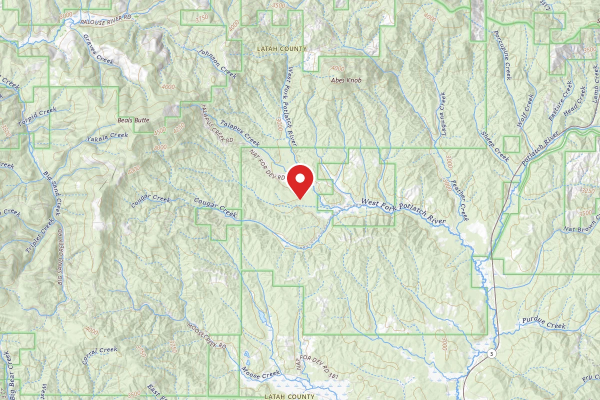 Nez Perce-Clearwater Dispersed Campsite PAL4700RD 02