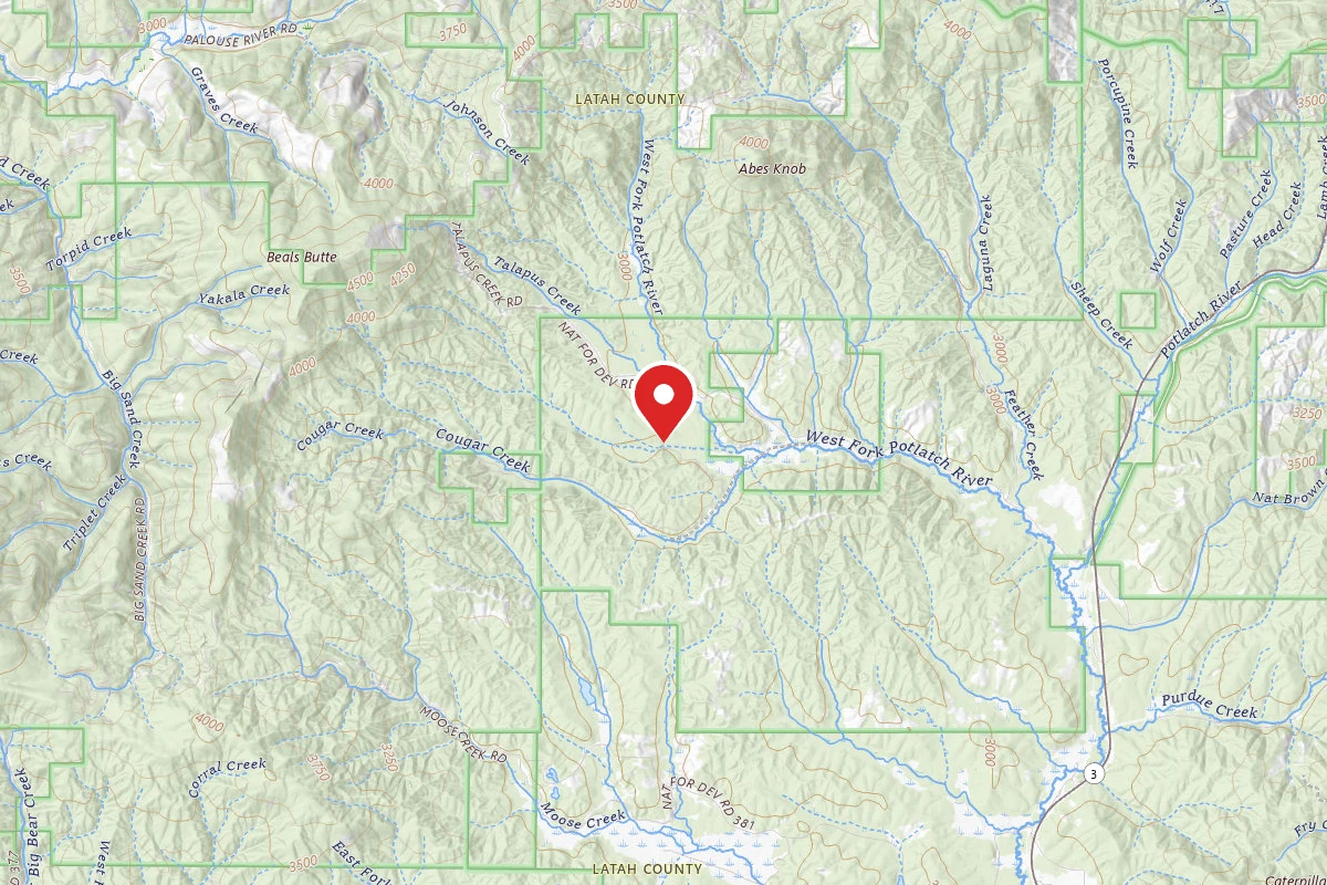 Nez Perce-Clearwater Dispersed Campsite PAL4700RD 03
