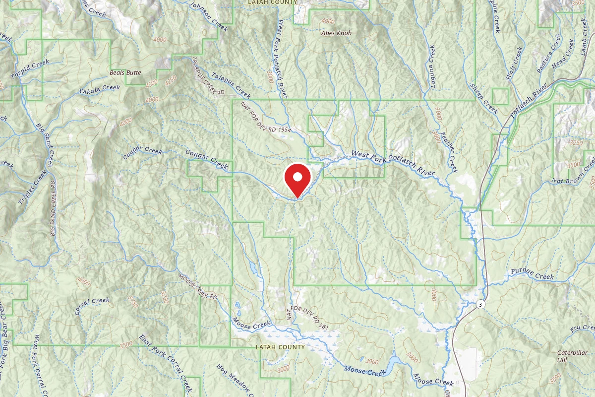 Nez Perce-Clearwater Dispersed Campsite PAL4700RD 05