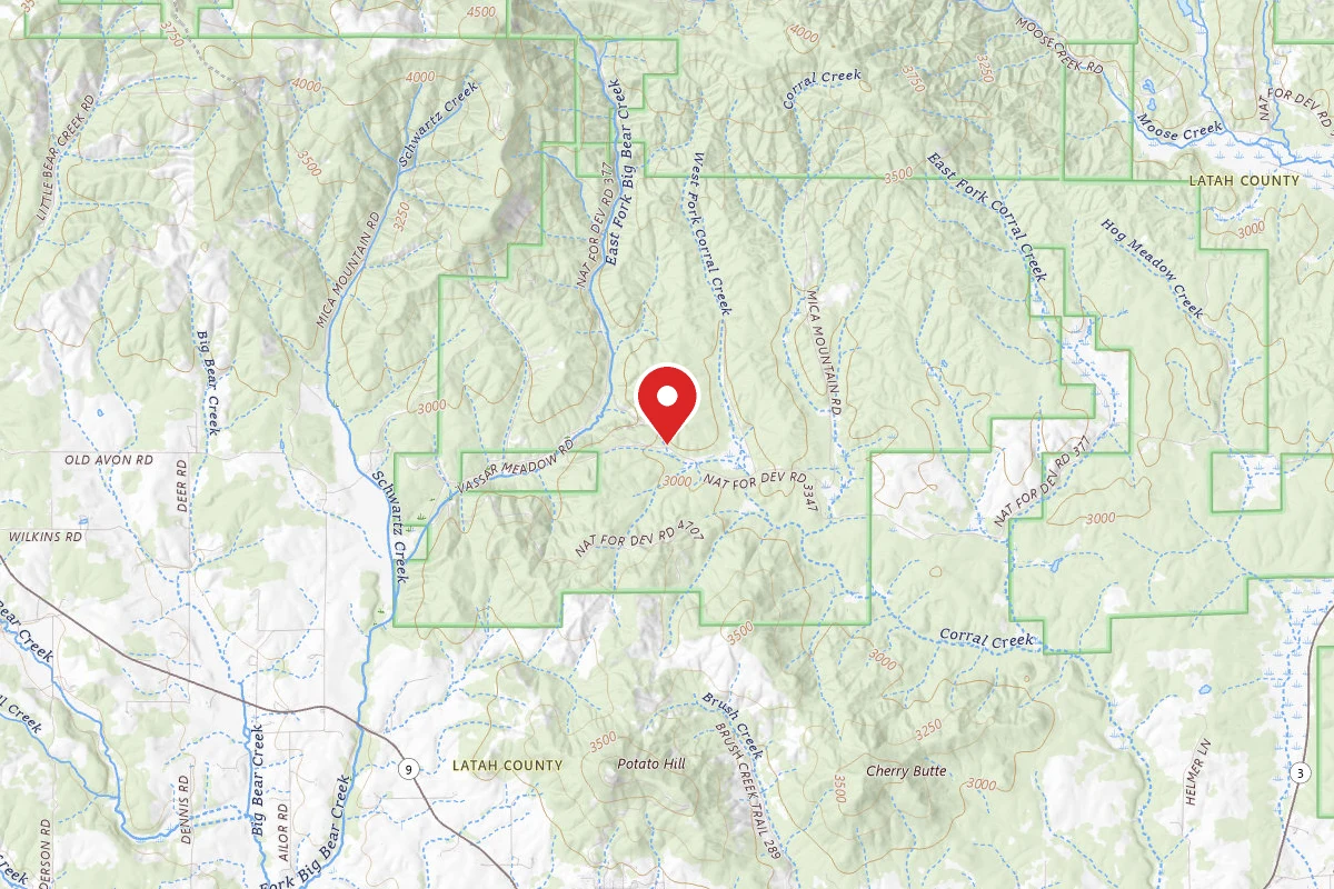 Nez Perce-Clearwater Dispersed Campsite PAL3347RD 03