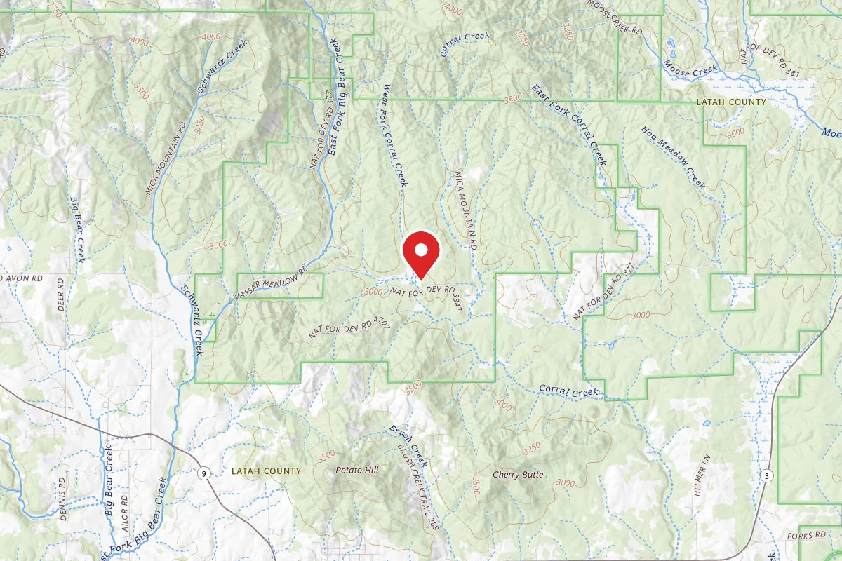 Nez Perce-Clearwater Dispersed Campsite PAL3347RD 04
