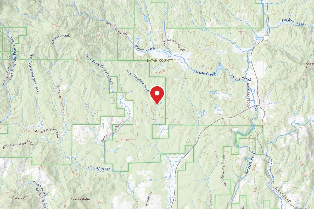 Nez Perce-Clearwater Dispersed Campsite PAL3815RD 02B