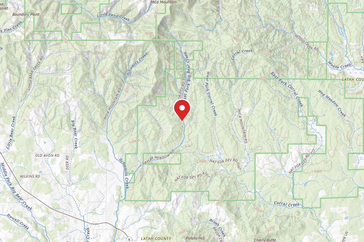 Nez Perce-Clearwater Dispersed Campsite PAL3803RD 01
