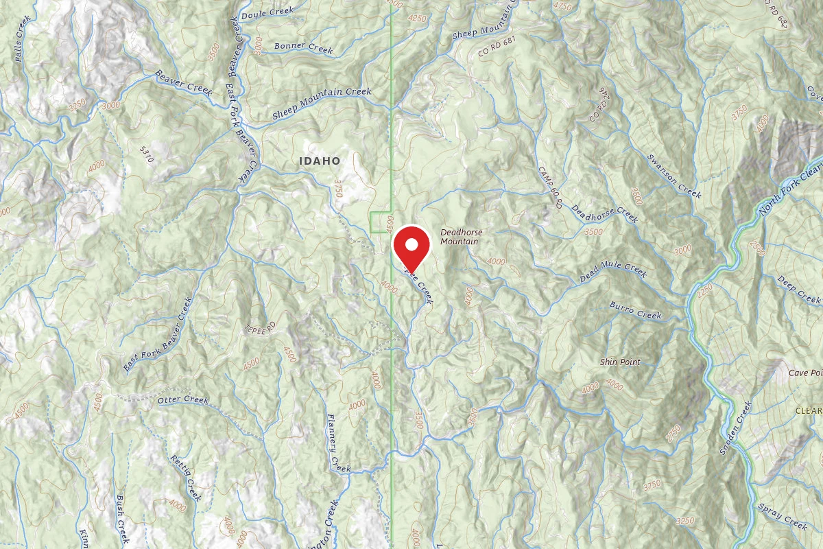 Nez Perce-Clearwater Dispersed Campsite NF683RD 001A