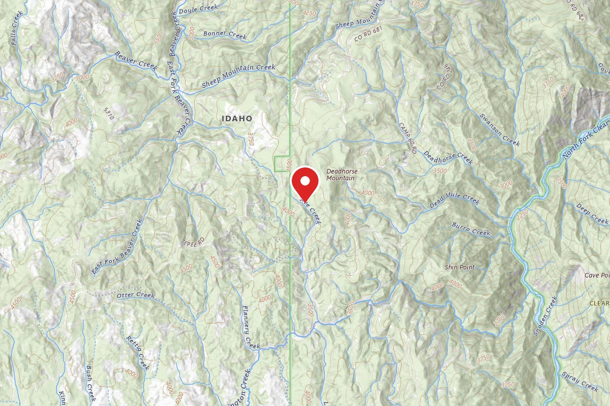 Nez Perce-Clearwater Dispersed Campsite NF683RD 001B