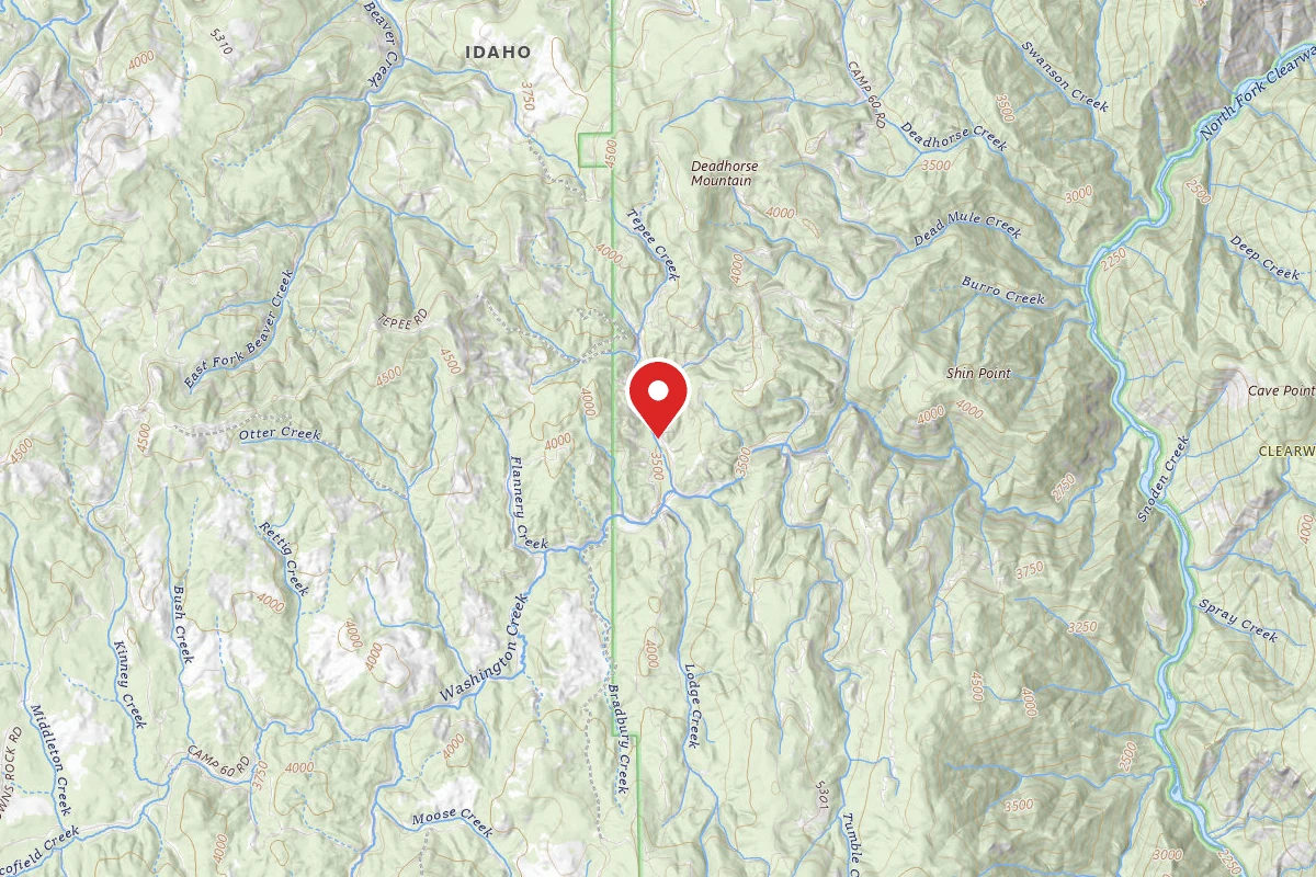 Nez Perce-Clearwater Dispersed Campsite NF683RD 004