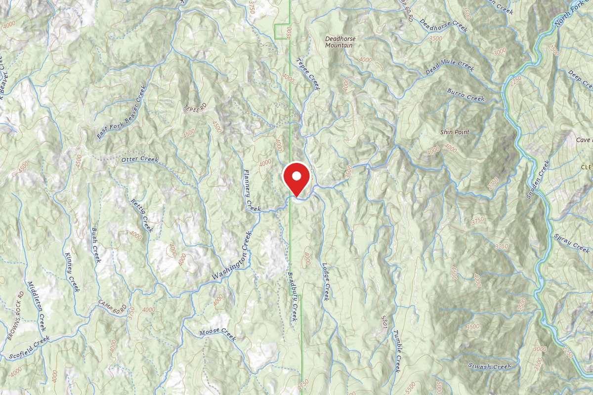 Nez Perce-Clearwater Dispersed Campsite NF246RD 01