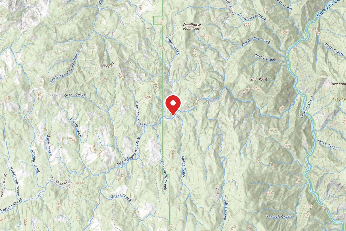 Nez Perce-Clearwater Dispersed Campsite NF246RD 02 CAMP 60B
