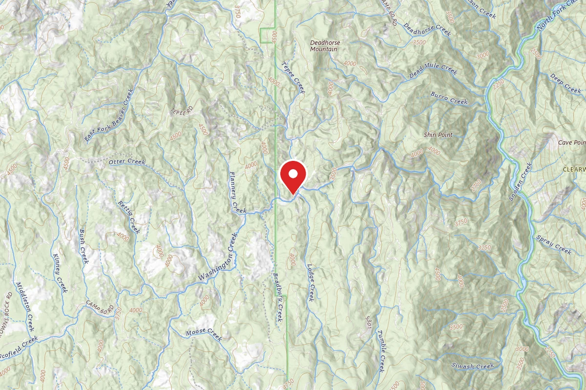 Nez Perce-Clearwater Dispersed Campsite NF246RD 02 CAMP 60C