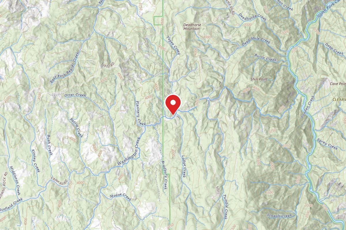 Nez Perce-Clearwater Dispersed Campsite NF246RD 02 CAMP 60D