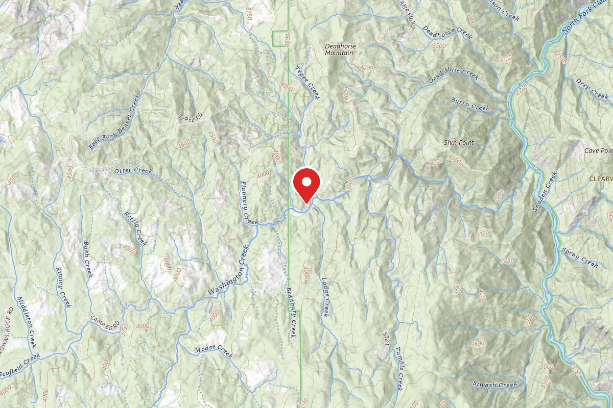 Nez Perce-Clearwater Dispersed Campsite NF246RD 02 CAMP 60E