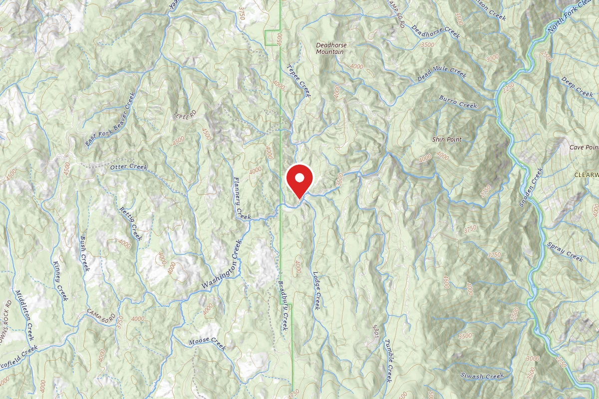 Nez Perce-Clearwater Dispersed Campsite NF246RD 02 CAMP 60H