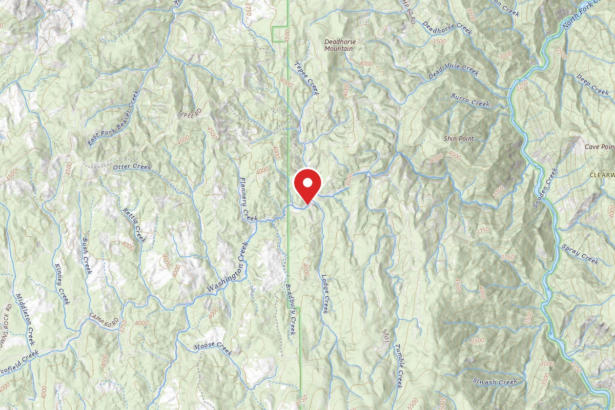 Nez Perce-Clearwater Dispersed Campsite NF246RD 03