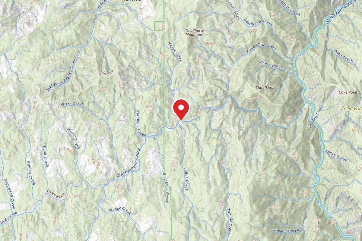 Nez Perce-Clearwater Dispersed Campsite NF246RD 04A