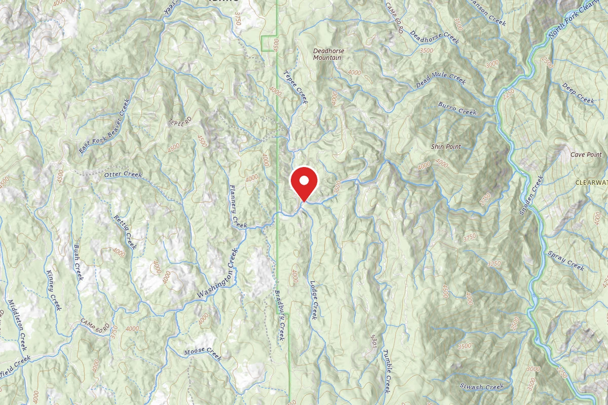 Nez Perce-Clearwater Dispersed Campsite NF246RD 04B