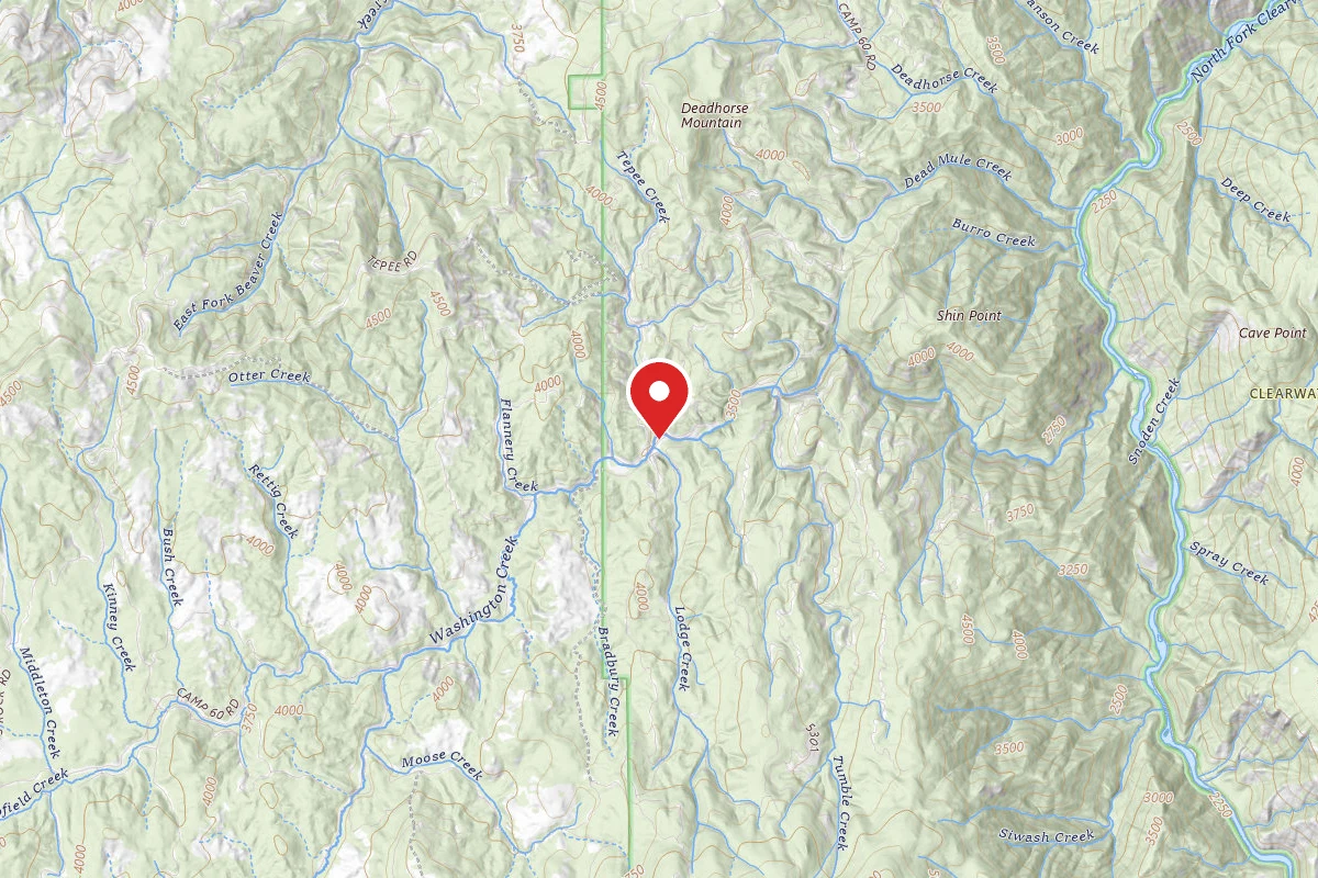 Nez Perce-Clearwater Dispersed Campsite NF246RD 04D