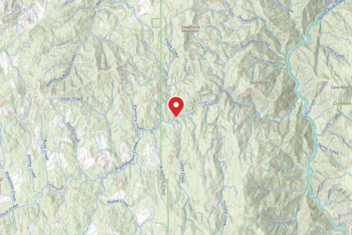 Nez Perce-Clearwater Dispersed Campsite NF246RD 04G