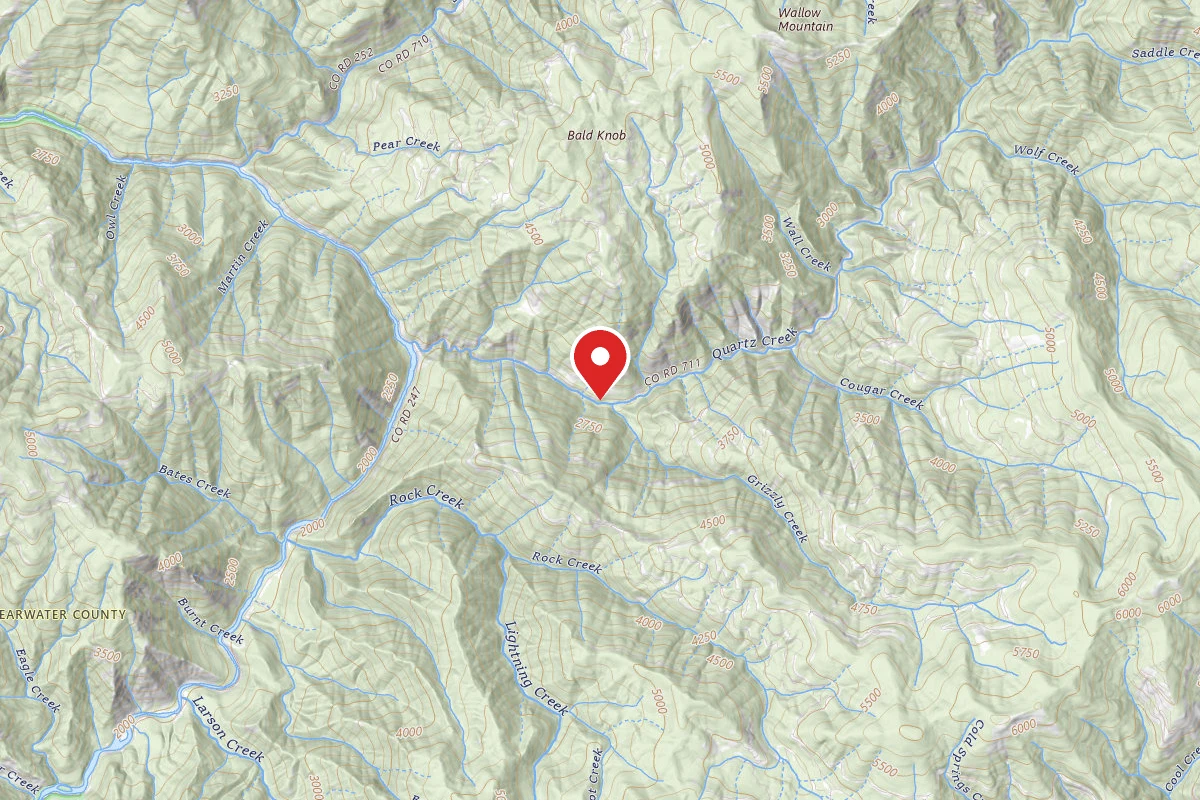 Nez Perce-Clearwater Dispersed Campsite NF711RD-011