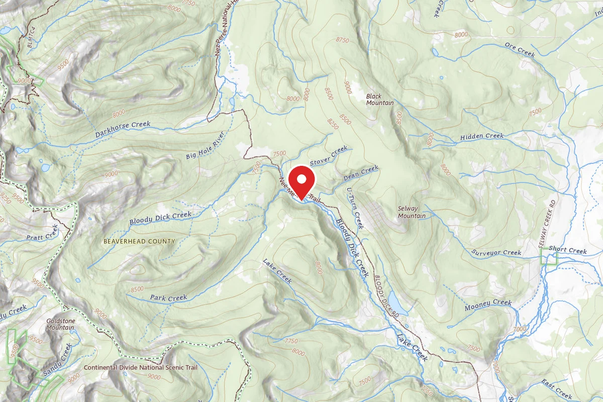 Beaverhead-Deerlodge Dispersed Campsite 2 BRANCH ROAD NO